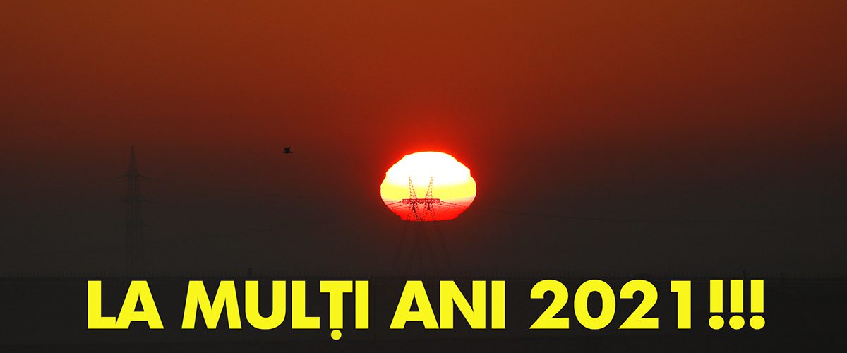 la-multi-ani-2021